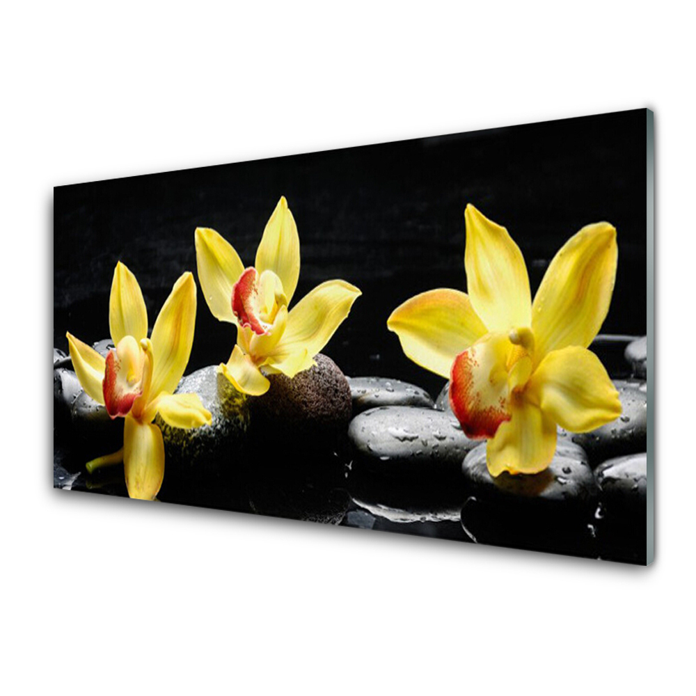 Tableau photo sur verre Fleurs jaunes sur pierres