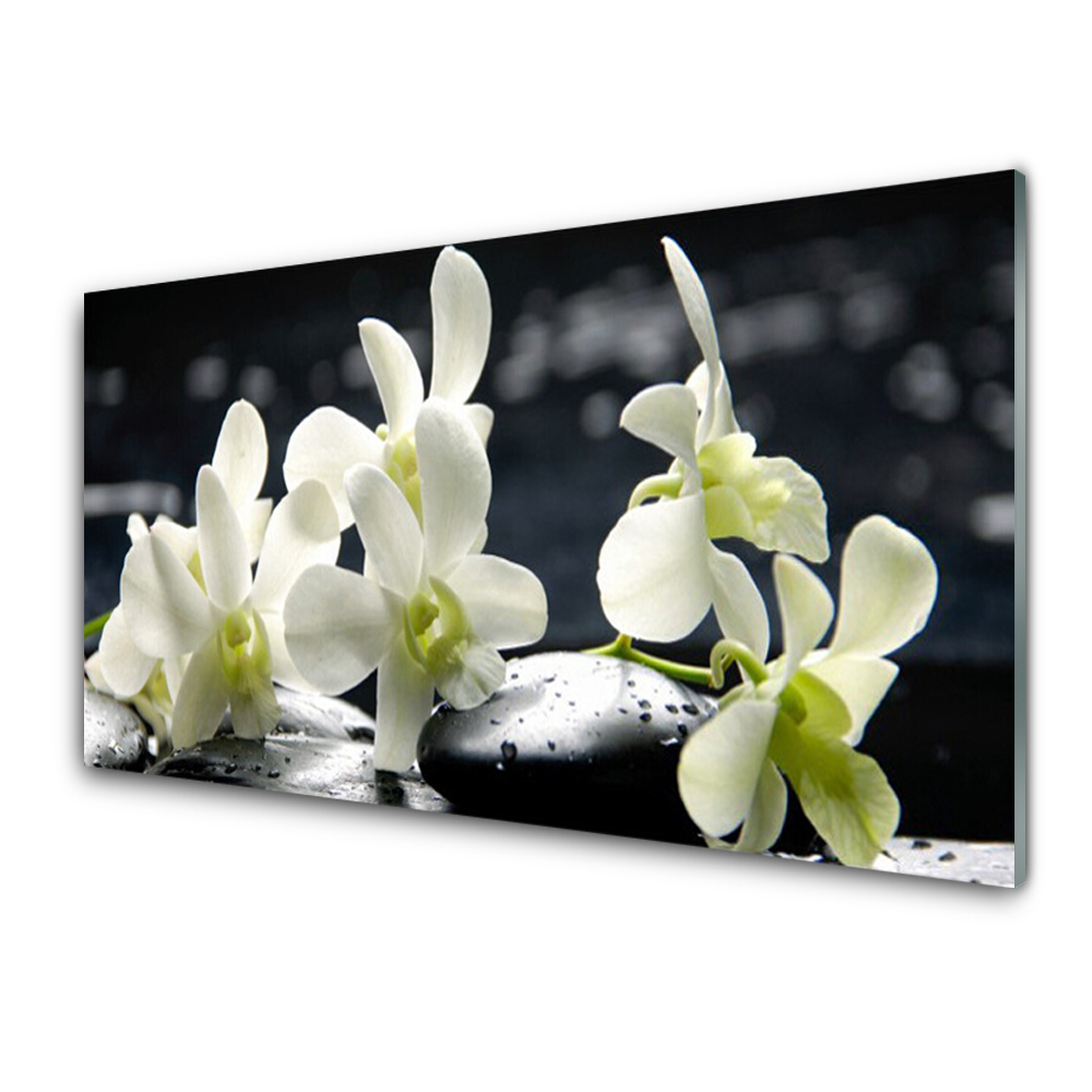 Tableau en verre Orchidées blanches sur fond noir