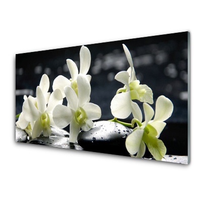 Tableau en verre Orchidées blanches sur fond noir