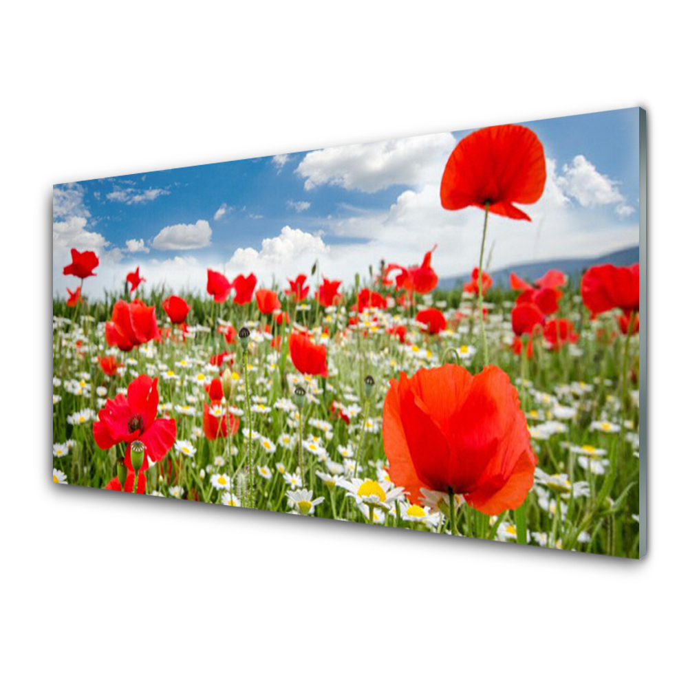 Tableau photo sur verre Champ de fleurs dans une prairie