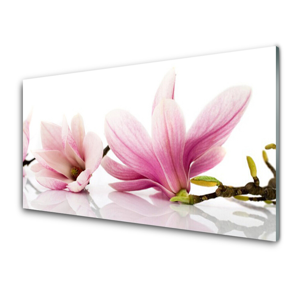 Tableau sur verre Fleurs de magnolia rose