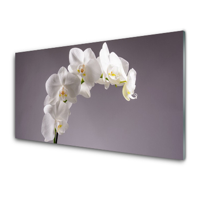 Tableau verre imprimé Orchidées blanches sur fond gris