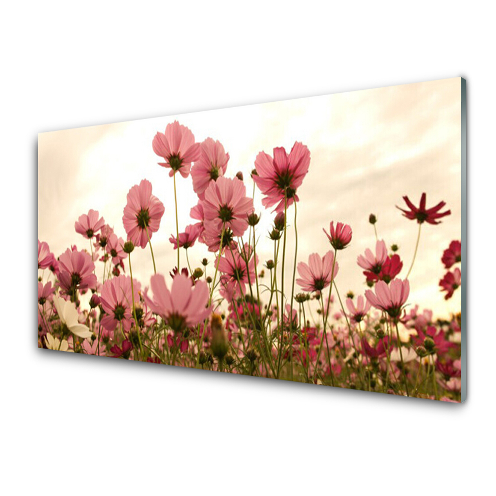Tableau photo sur verre Fleurs des champs roses
