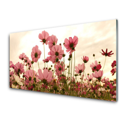 Tableau photo sur verre Fleurs des champs roses