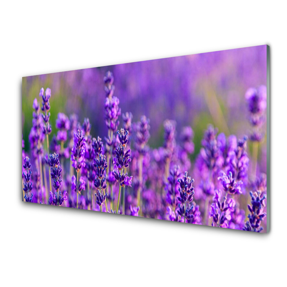 Tableau sur verre Fleurs violettes lavande Gros plan