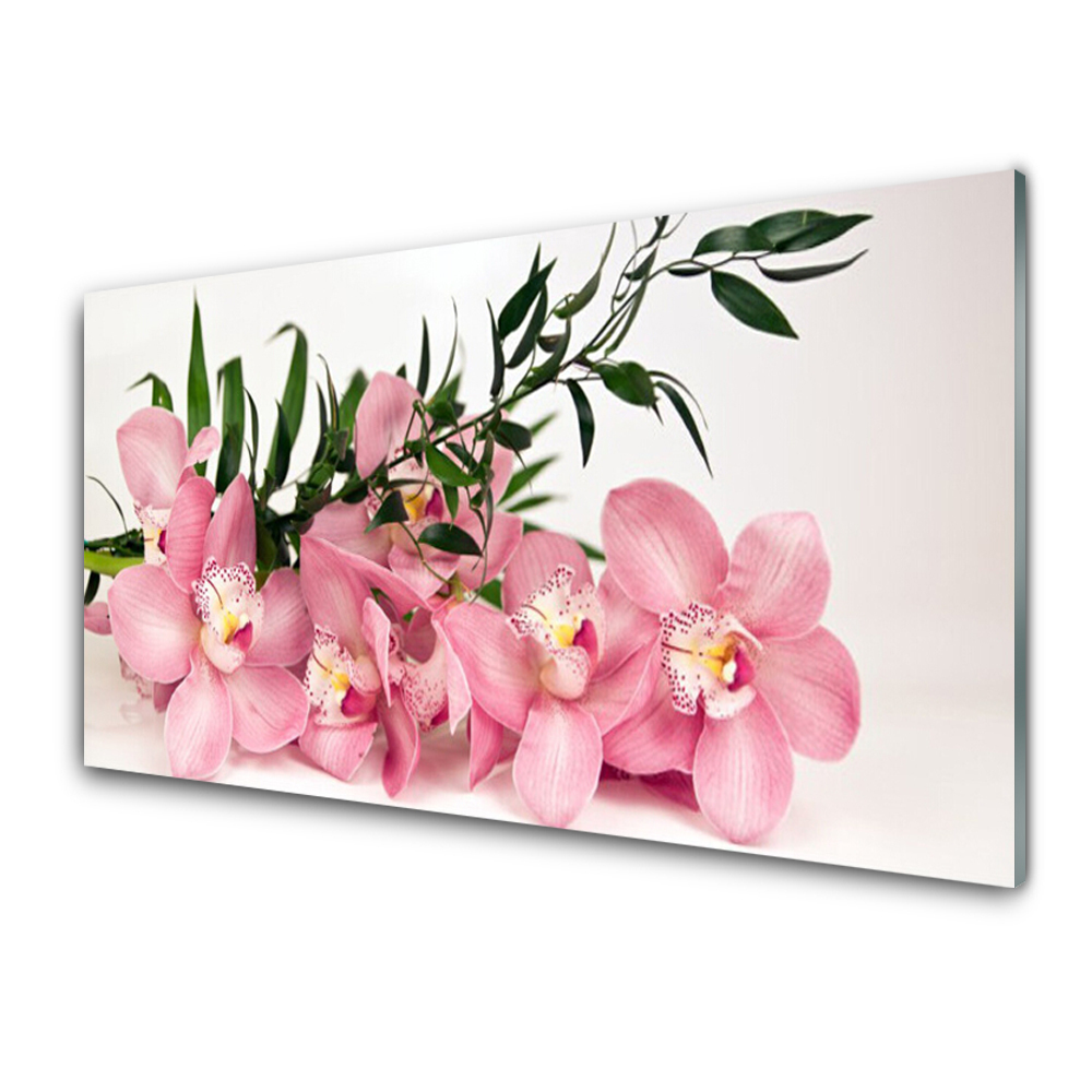 Tableau photo sur verre Fleurs et feuilles roses
