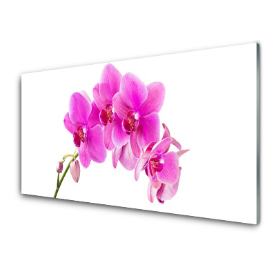 Tableau verre imprimé Fleur d'orchidée
