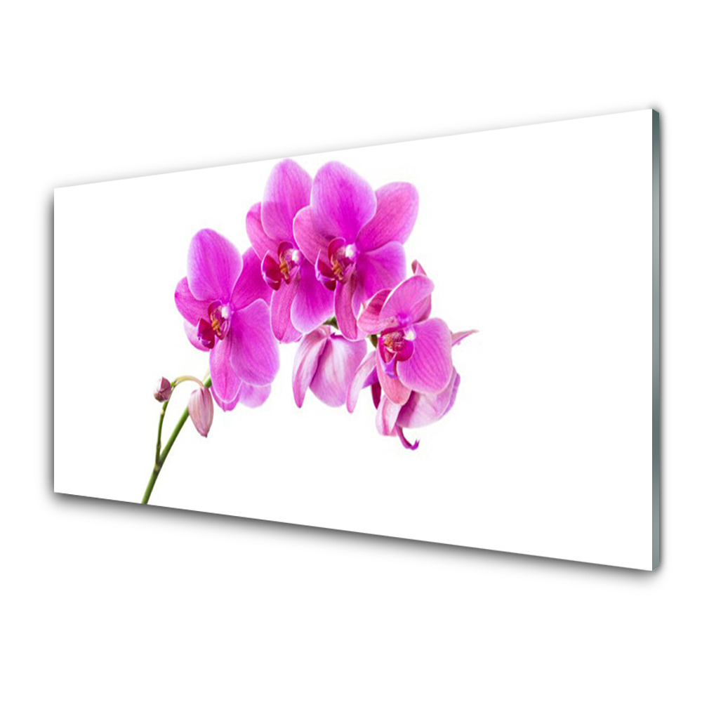 Tableau photo sur verre Fleur d'orchidée