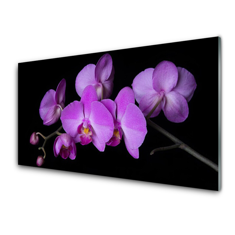 Tableau photo sur verre Orchidée Orchidée fond noir