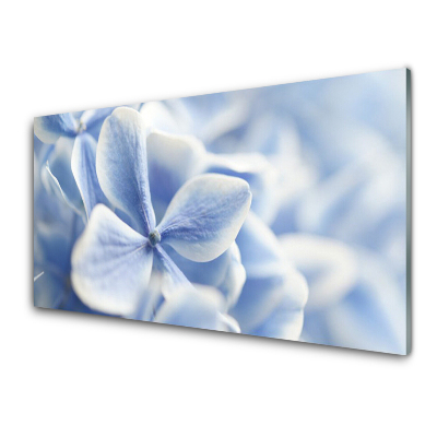Tableau sur verre Petites fleurs bleues en gros plan