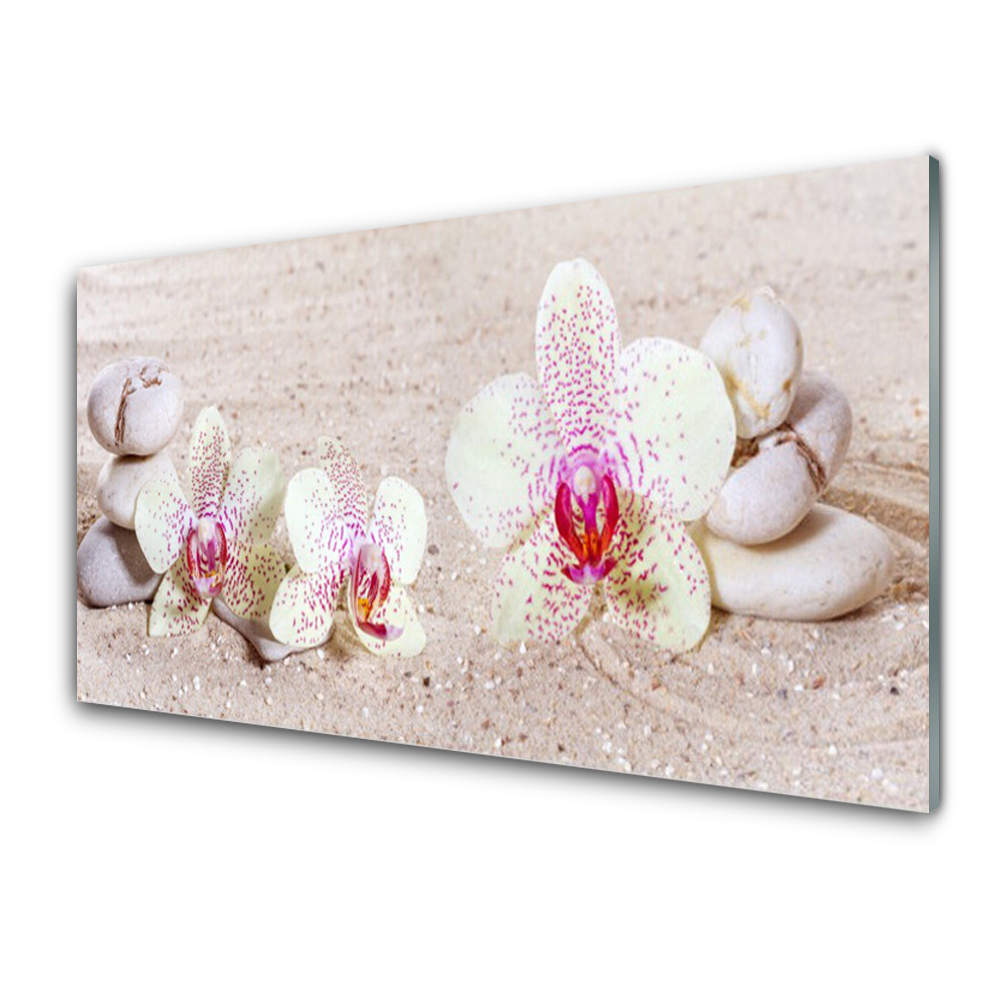 Tableau verre imprimé Fleurs d'orchidées sur le sable