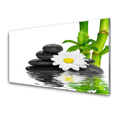 Tableau photo sur verre Pierres, fleurs d'eau et bambou