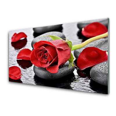 Tableau verre imprimé Fleur de rose rouge sur les pierres