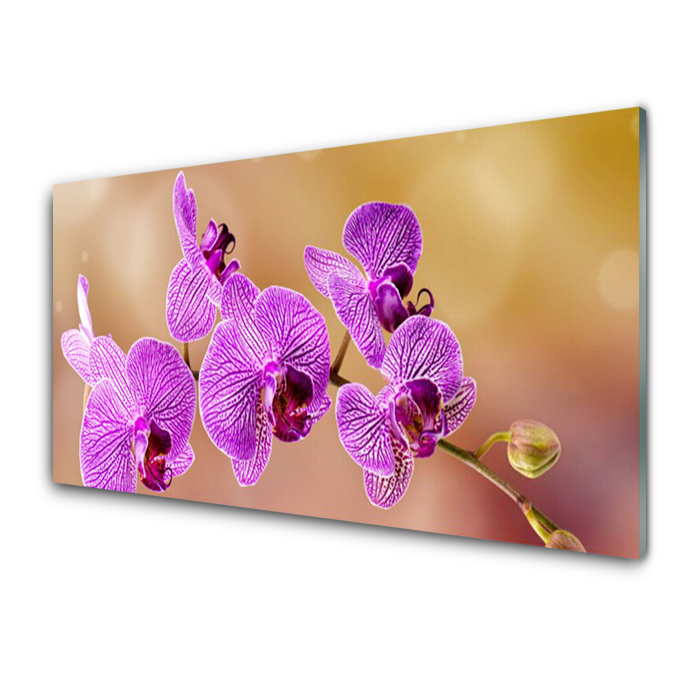 Tableau sur verre Tiges de fleurs roses Orchidée Nature