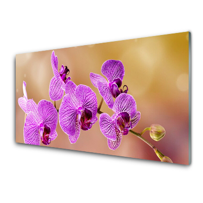 Tableau sur verre Tiges de fleurs roses Orchidée Nature