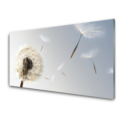 Tableau photo sur verre Graines de poisson bleu sur fond gris