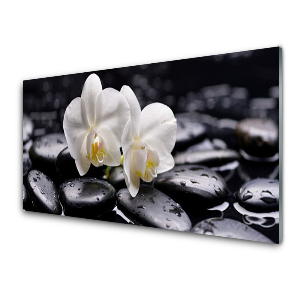 Tableau imprimé sur verre Pierres noires et deux orchidées blanches