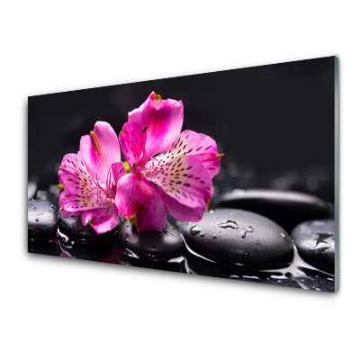 Tableau verre imprimé Fleurs roses sur pierres noires