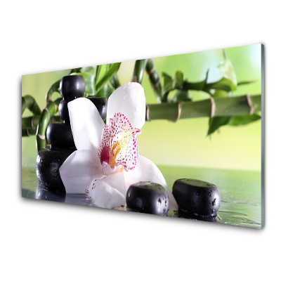 Tableau imprimé sur verre Orchidée Pierres Bambou