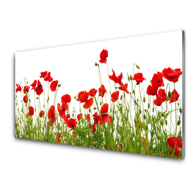Tableau sur verre Coquelicots rouges des prés