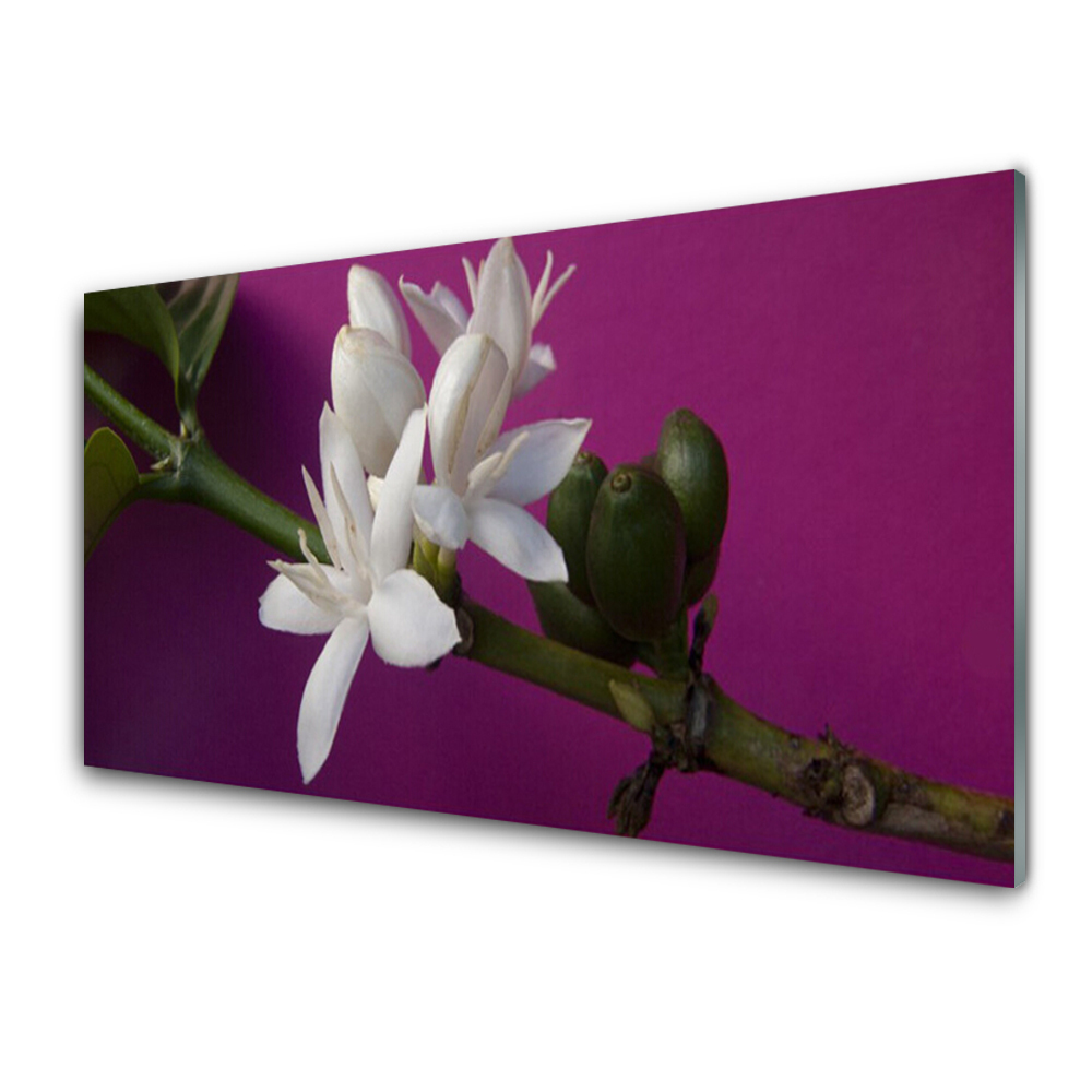 Tableau imprimé sur verre Tiges de fleurs sur une branche