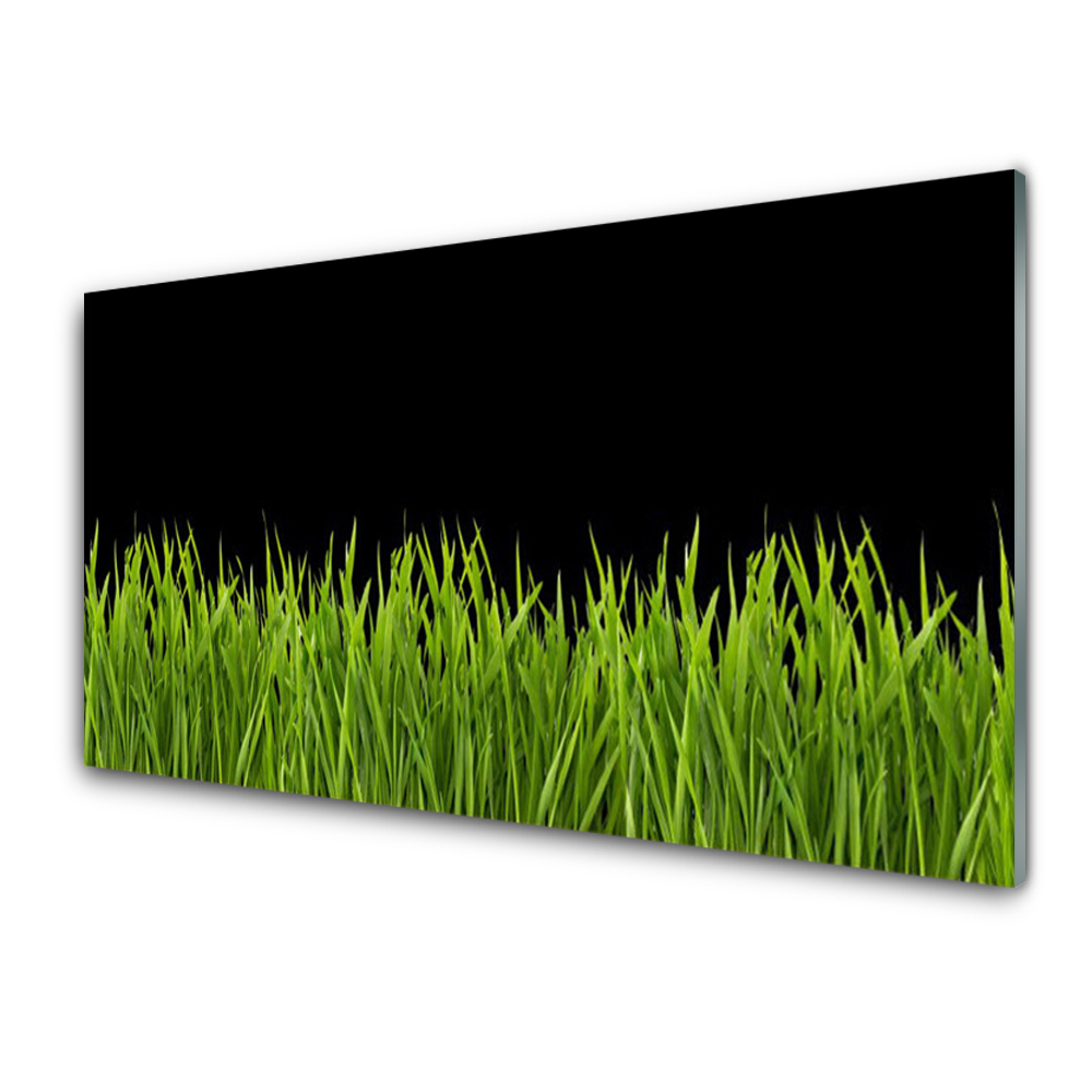 Tableau sur verre Herbe verte fond noir