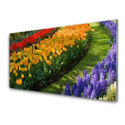 Tableau verre imprimé Jardin de jacinthes et de tulipes