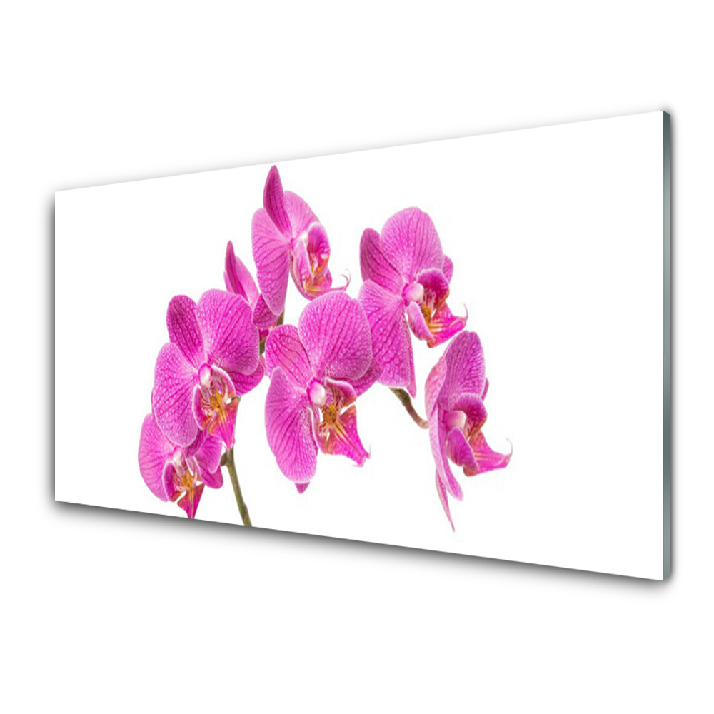 Tableau photo sur verre Orchidée rose Nature