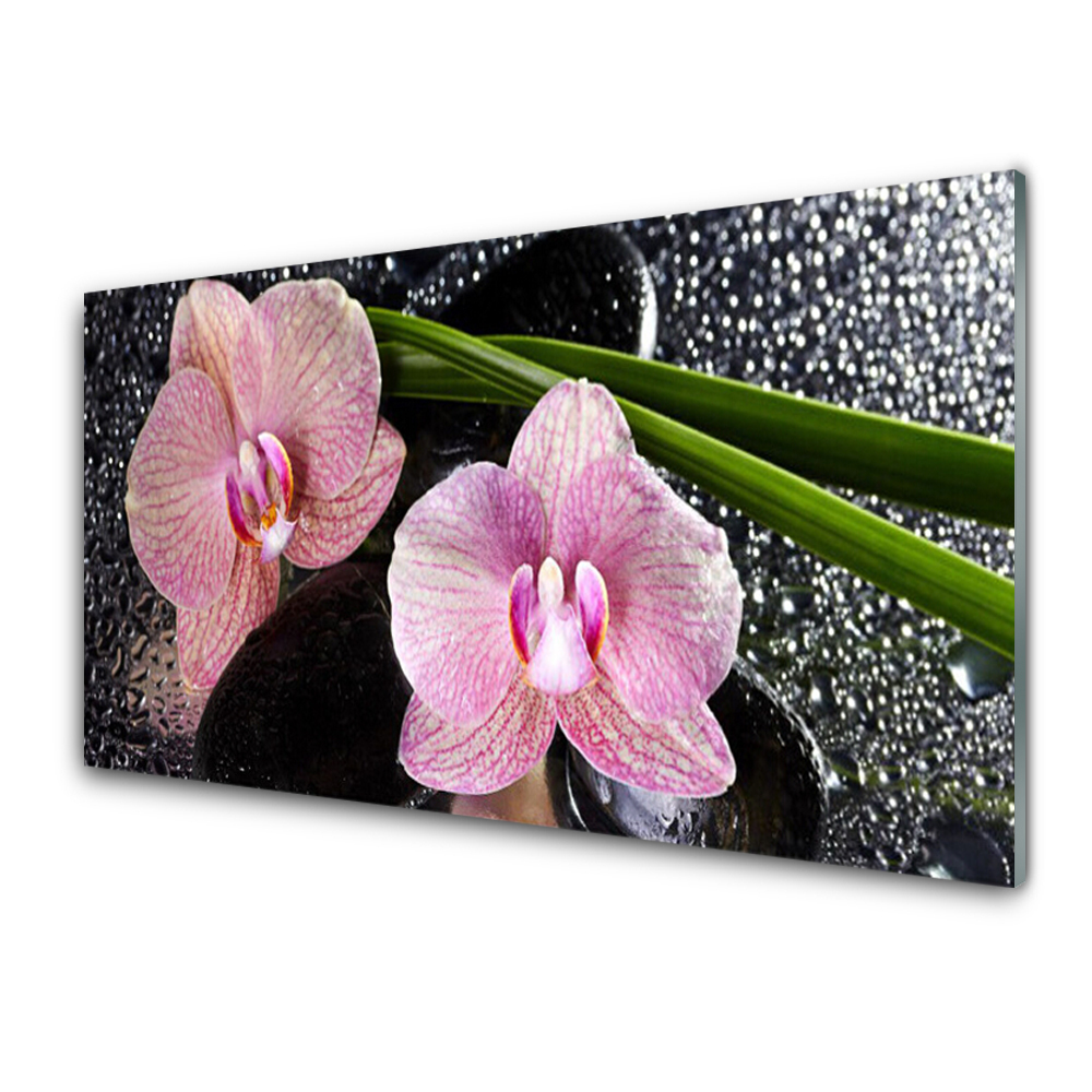 Tableau sur verre Orchidée rose zen