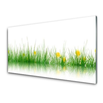 Tableau en verre Nature Herbe fleurs jaunes