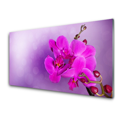 Tableau imprimé sur verre Fleurs pétales roses Orchidée