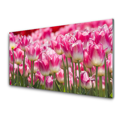 Tableau photo sur verre Tulipes roses Nature