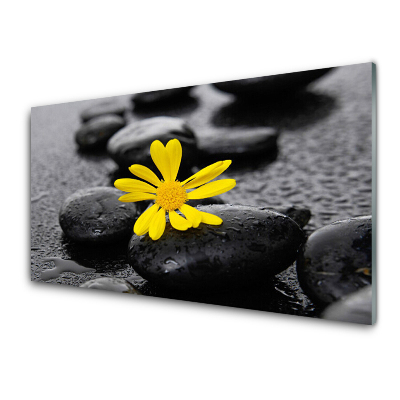 Tableau sur verre Fleur jaune sur pierres noires