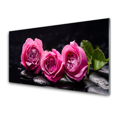 Tableau imprimé sur verre Roses roses pierres Spa zen
