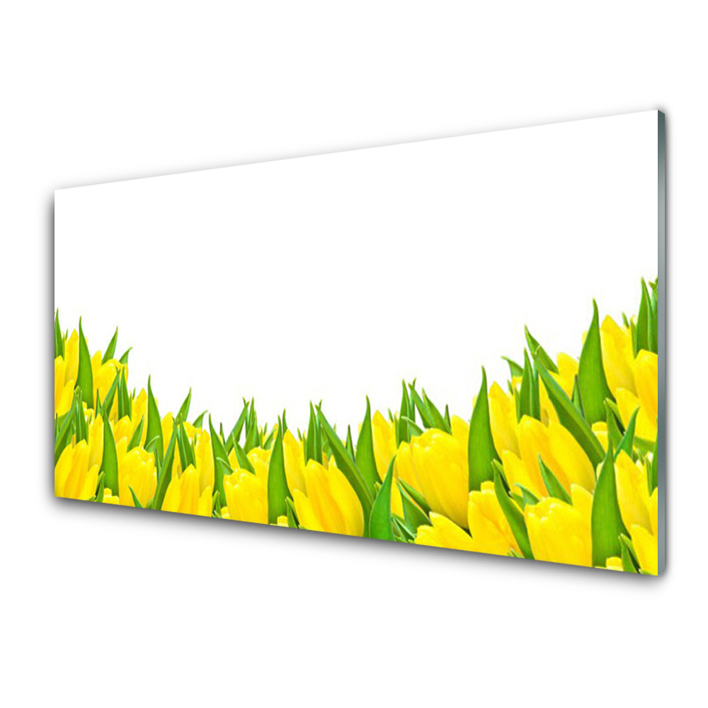 Tableau photo sur verre Tulipes jaunes et feuilles sur fond blanc