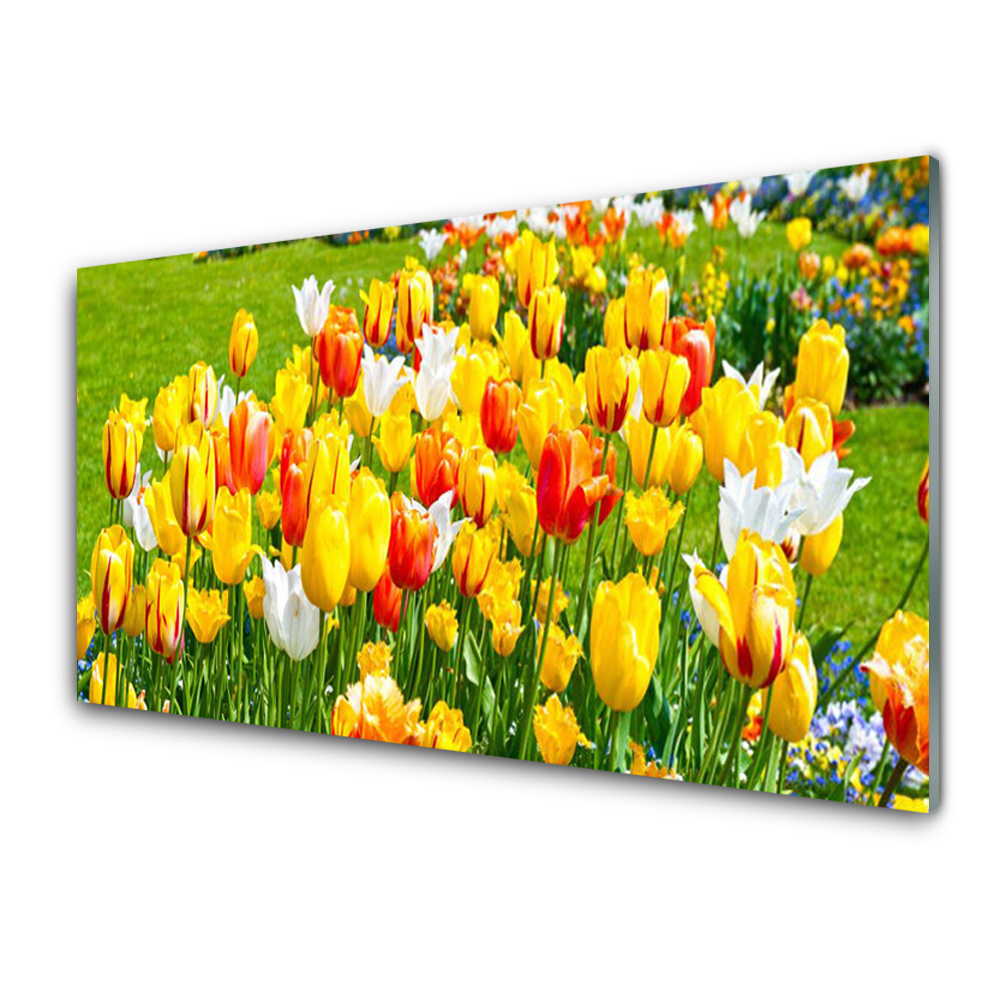 Tableau imprimé sur verre Tulipes sur herbe verte