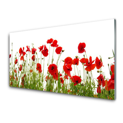 Tableau imprimé sur verre Coquelicots Fleurs de la nature Plante