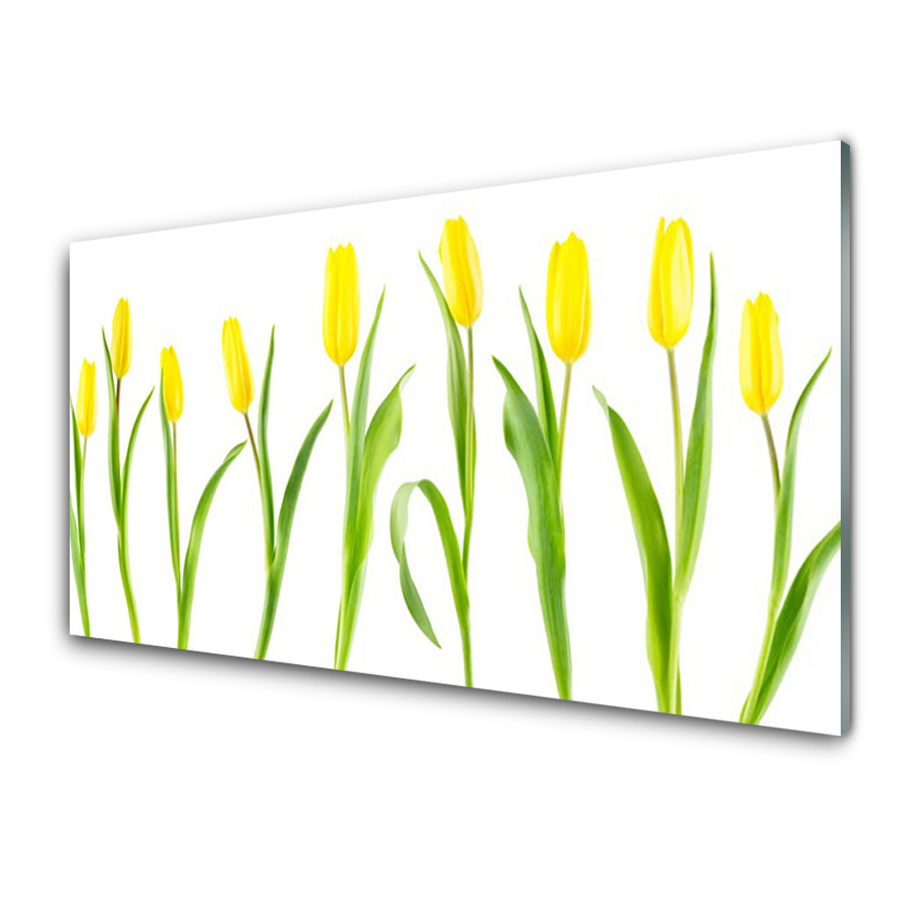 Tableau verre imprimé Tulipes jaunes Fleurs Feuilles