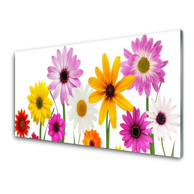 Tableau sur verre Fleurs colorées Natura