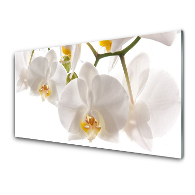 Tableau en verre Fleurs d'orchidées blanches Nature