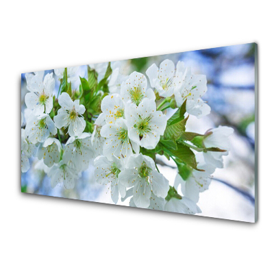Tableau verre imprimé Fleurs de pommiers Nature
