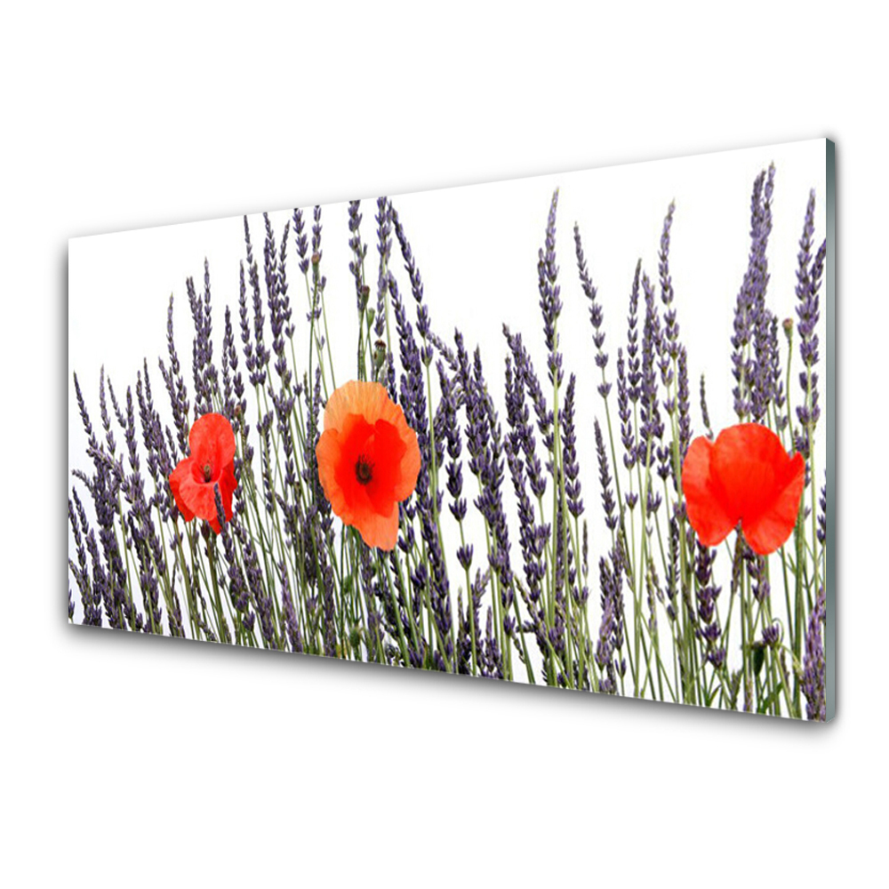 Tableau verre imprimé Coquelicots et fleurs de lavande