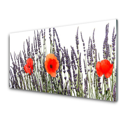 Tableau verre imprimé Coquelicots et fleurs de lavande