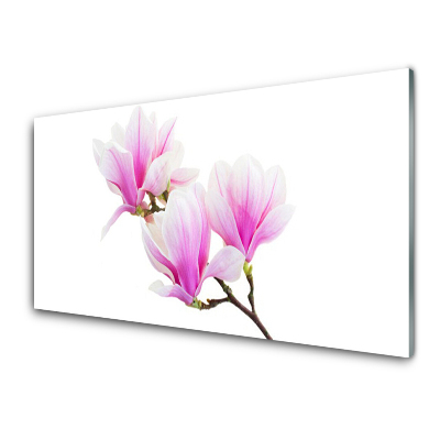 Tableau imprimé sur verre Fleurs de magnolia sur une branche