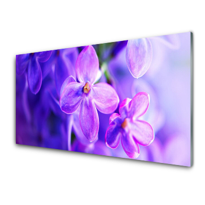 Tableau verre imprimé Fleurs violettes Gros plan