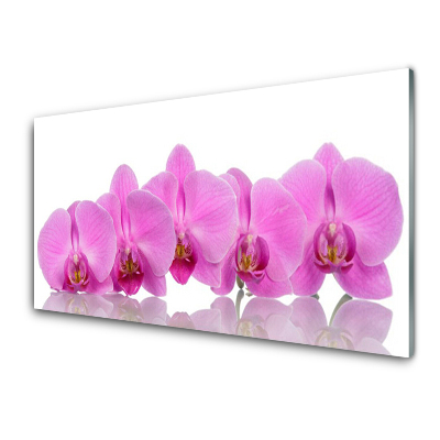 Tableau sur verre Orchidées roses en rangée