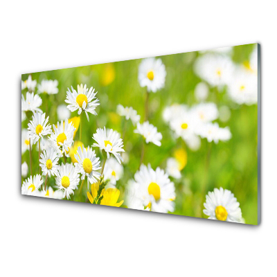 Tableau en verre Marguerites sur herbe verte