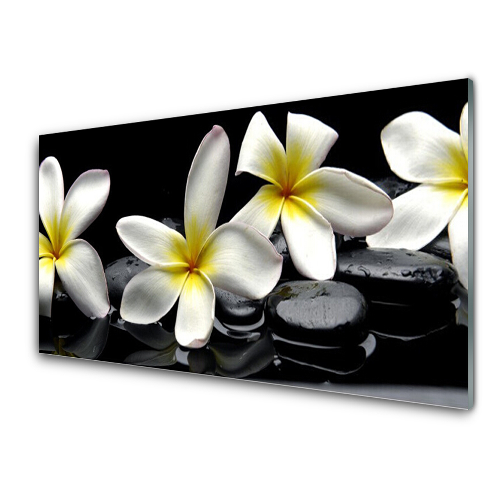 Tableau sur verre Fleurs de plumeria sur fond noir