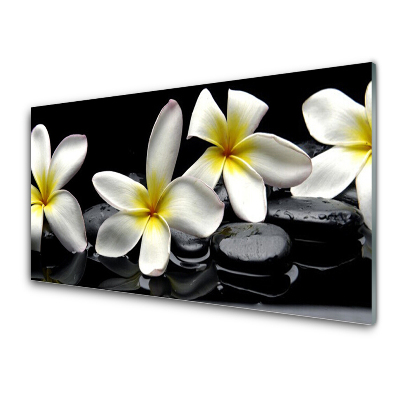 Tableau sur verre Fleurs de plumeria sur fond noir
