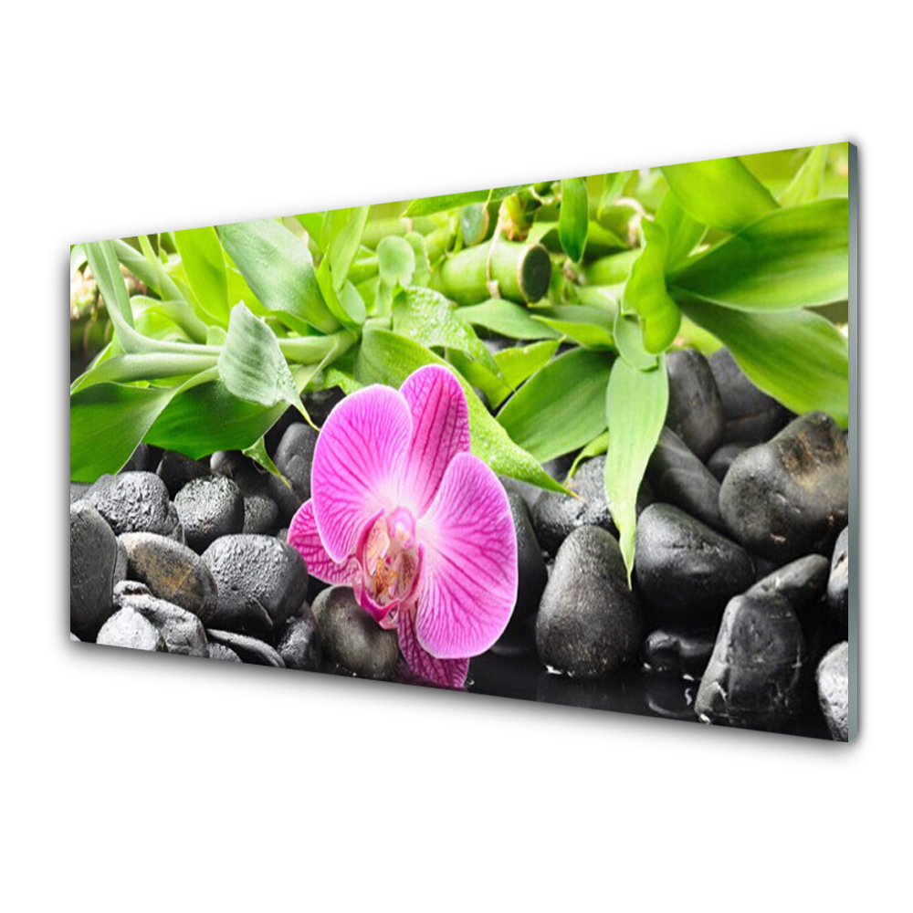 Tableau photo sur verre Fleur d'orchidée sur pierres Bambou